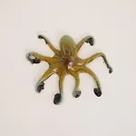 Il Gamberino Capraia